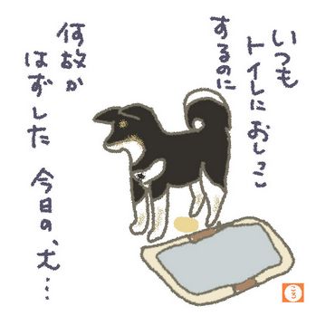 しつけ3トイレ.jpg
