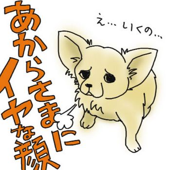 しつけ5散歩.jpg